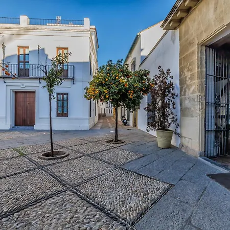 Palacio De Viana & Centro Apartment Cordoba