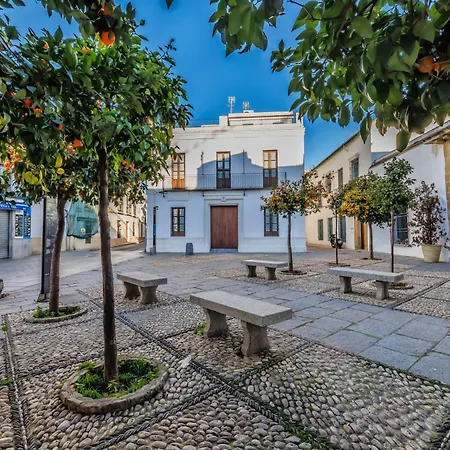 Palacio De Viana & Centro Apartment